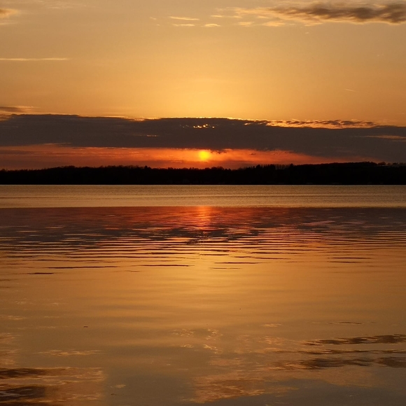 Meet your Posher, Katie - Picture 1 of 1